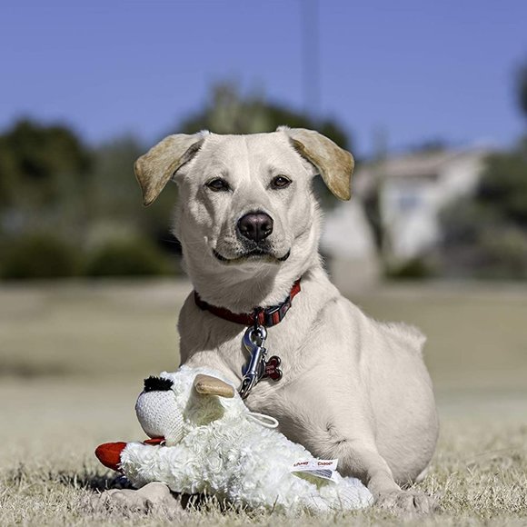 Lambchop Plush Dog Toy with Squeaker - Picture 1 of 3